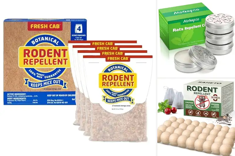 Detailed view of Best Safe For Humans Pets And Plants Rodent Repellent