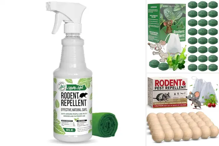 Detailed view of Best Safe Mouse Repellents