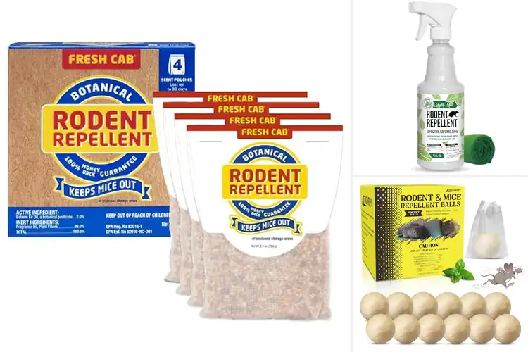 Detailed view of Best Safe Pet Mouse Repellents
