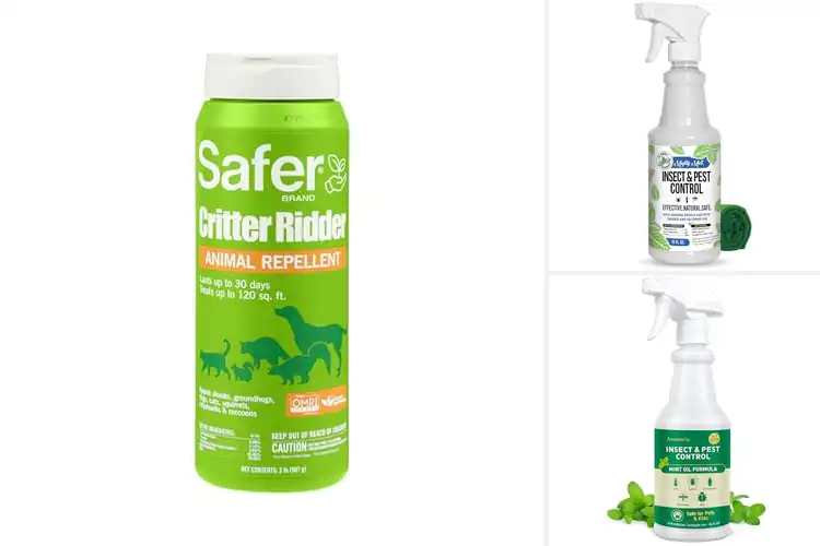 Detailed view of Best Safe Repellents