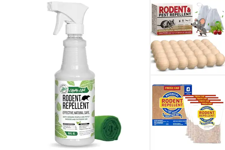 Detailed view of Best Safe Rodent Repellent Options