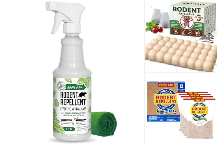 Detailed view of Best safe rodent repellents for homes