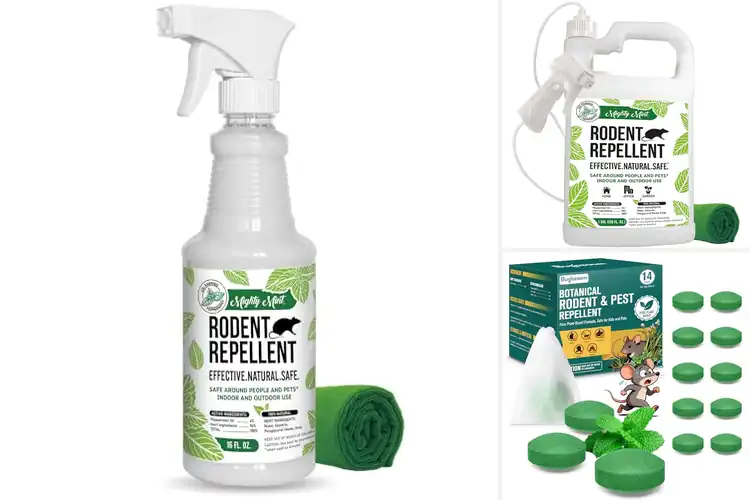 Detailed view of Best Strong Odor For Mice And Rats Deterrence