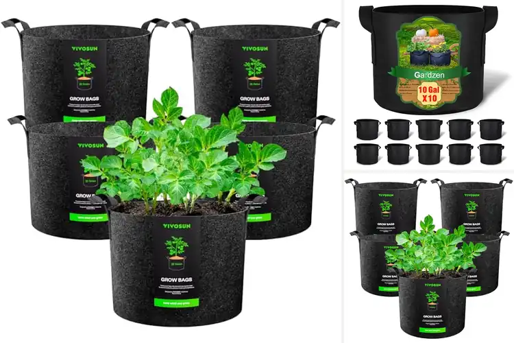Detailed view of Best Vegetable Grow Bags